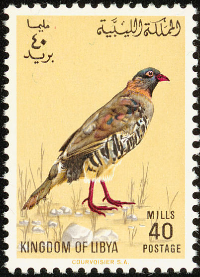 Stamp