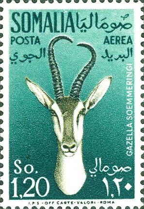 Stamp